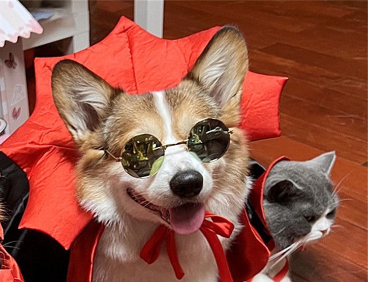 Halloween Pet Costume Cape Vampire King