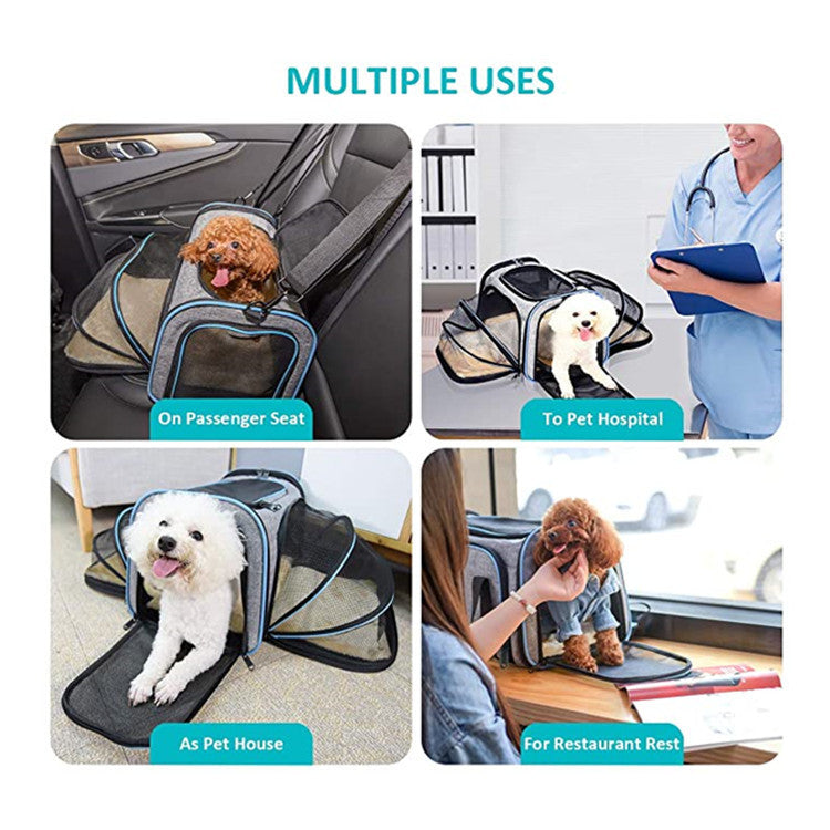 Carrier For Cat Pet Airline