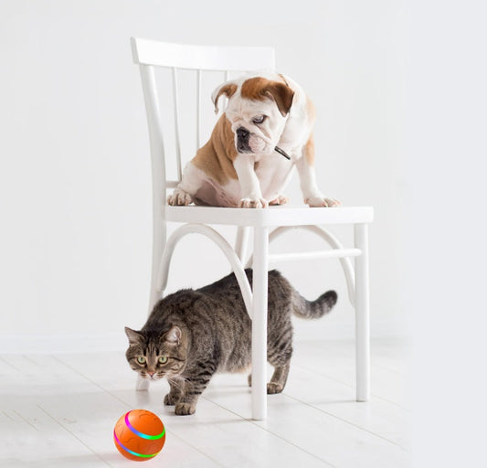 Pet New Cat Wicked Ball Toy Intelligent Ball USB Cat Toys
