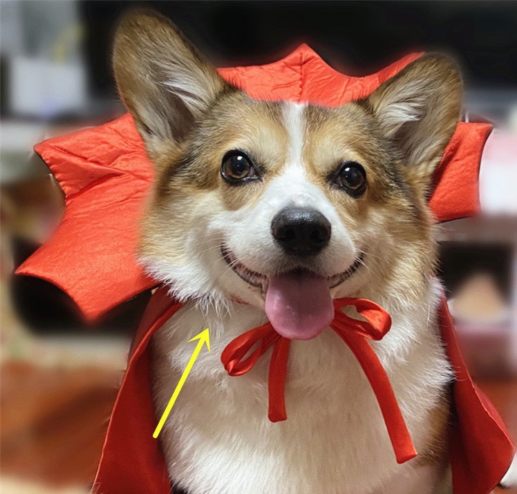 Halloween Pet Costume Cape Vampire King